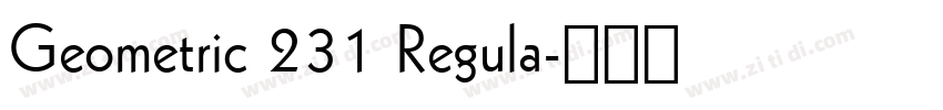 Geometric 231 Regula字体转换